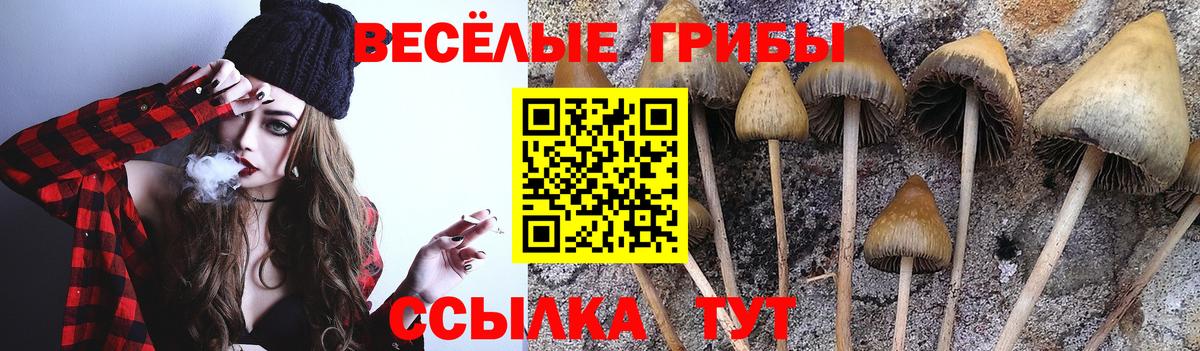 Галлюциногенные грибы MAGIC MUSHROOMS  Вход с VPN  Галлюциногенные грибы Magic Shrooms  Великий Новгород 