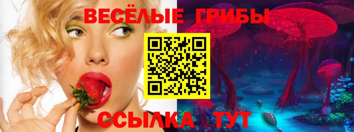 Галлюциногенные грибы GOLDEN TEACHER Великий Новгород